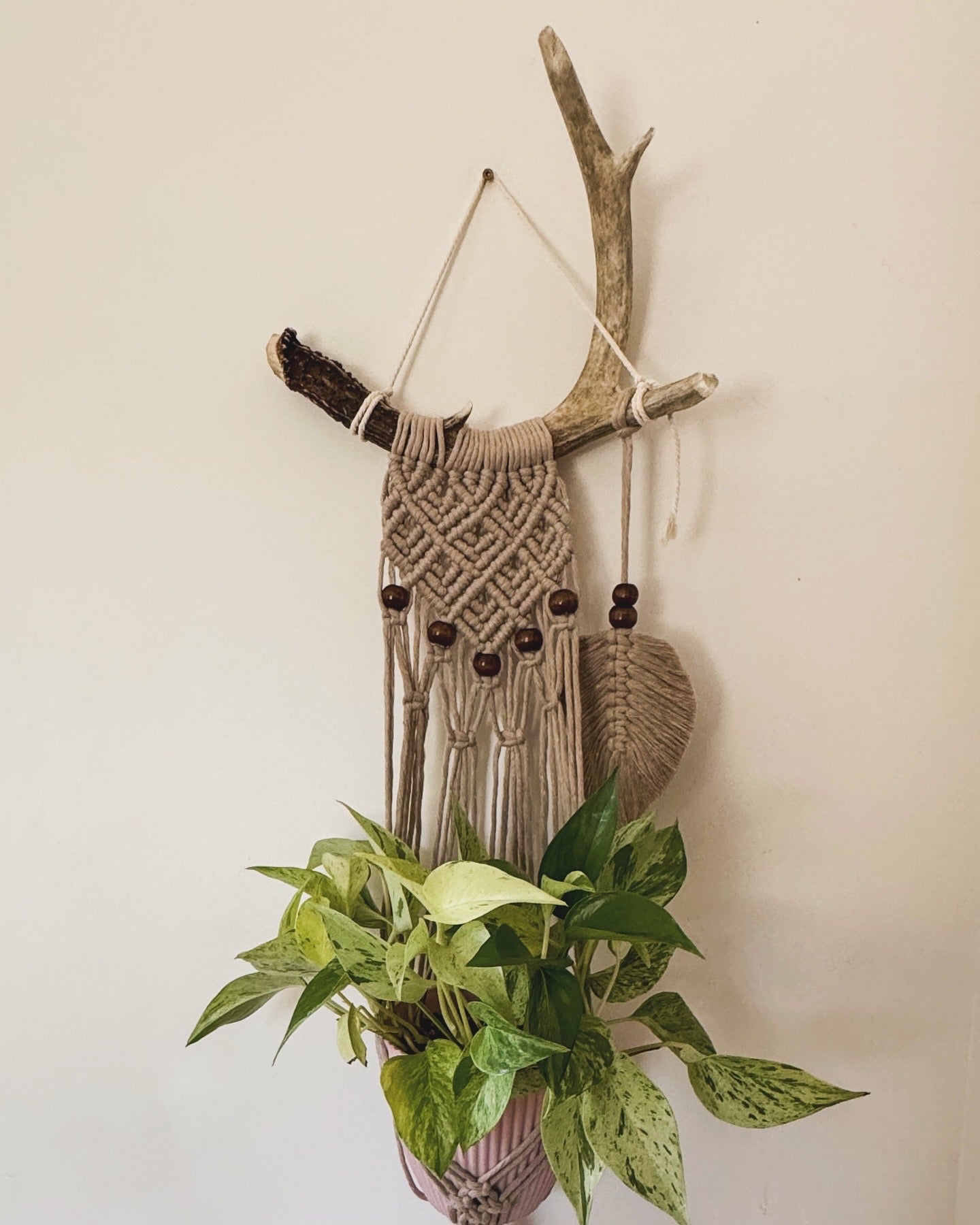 Antler Plant Hangers